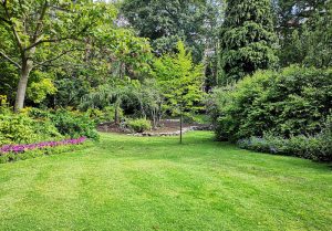 Optimiser l'expérience du jardin à Pronleroy
